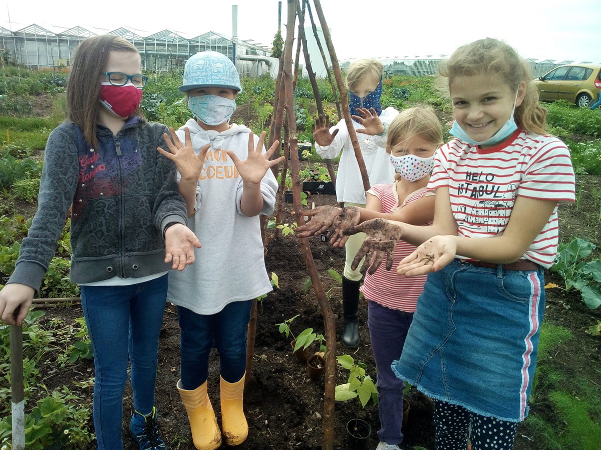 Nürnberg: Kinder können gärtnern – Anbau, Pflege, Ernte von Gemüse